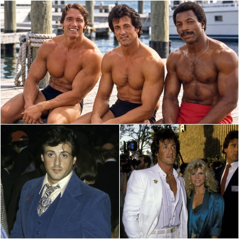 THREE MEN, THREE DREAMS — AND THE UNLIKELY ROAD THAT MADE SYLVESTER STALLONE A HOLLYWOOD…